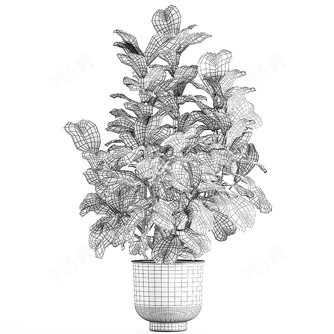 Tropical Plant Collection: Exotic Ficus Lyrata in Vig Planter 3D model image 5