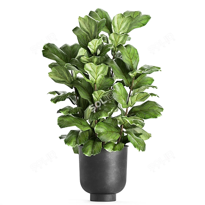 Exotic Plant Collection in Vig Planter 3D model image 3