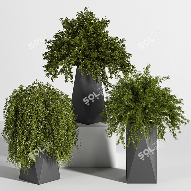 Multi-Part Indoor Plant Set 3D model image 1