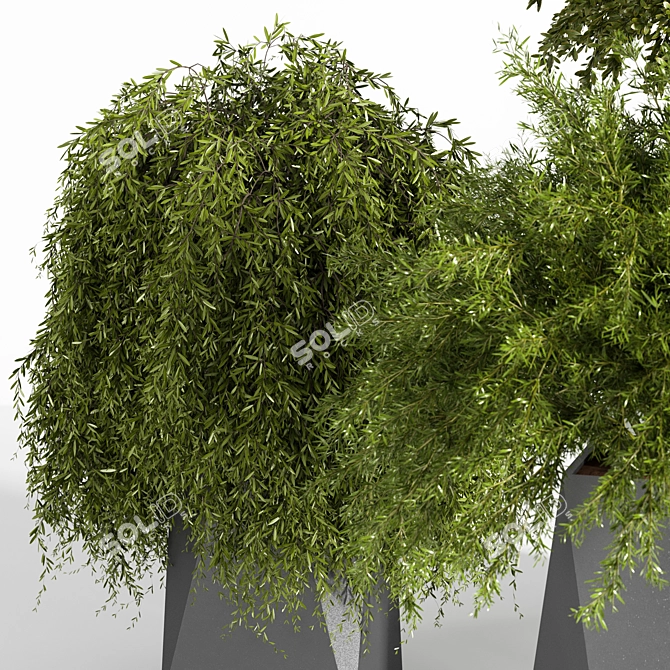 Multi-Part Indoor Plant Set 3D model image 4