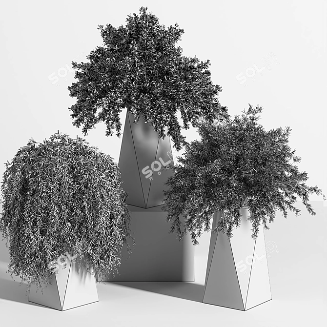 Multi-Part Indoor Plant Set 3D model image 5