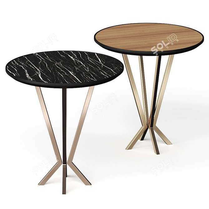 Elegant Perfidia Coffee Table 3D model image 1