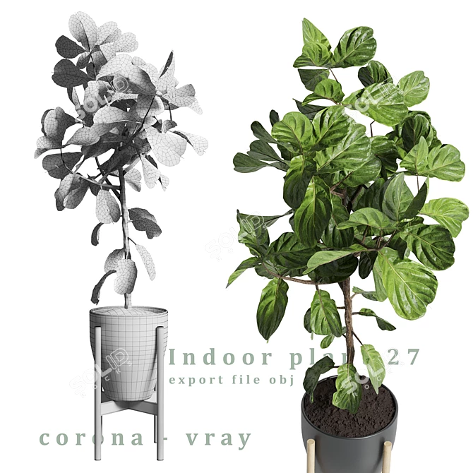 27" Indoor Plant: 3Dmax Vray & Corona Export 3D model image 2