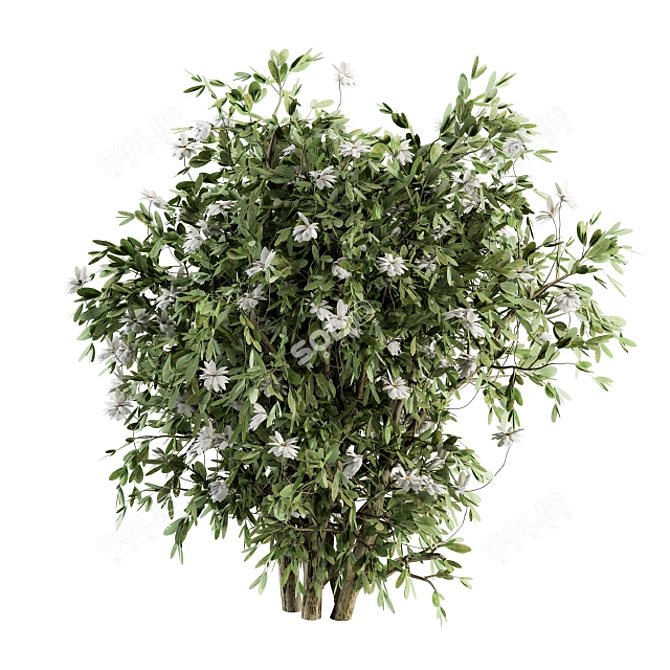 Blooming Bliss - Floral Bush Set 3D model image 3