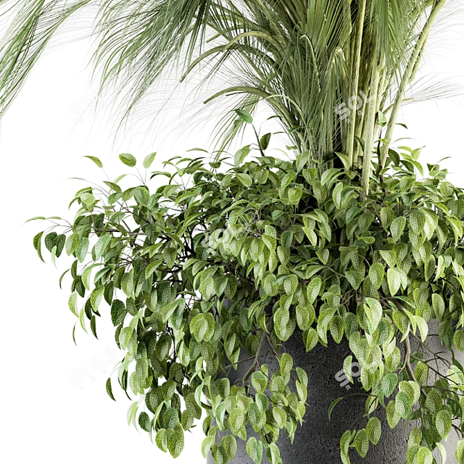 Exotic Palm: Perfect Indoor Plant 3D model image 1