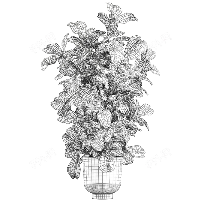 Tropical Plant Collection: Exotic Ficus Lyrata in Grey Vig Planters 3D model image 5