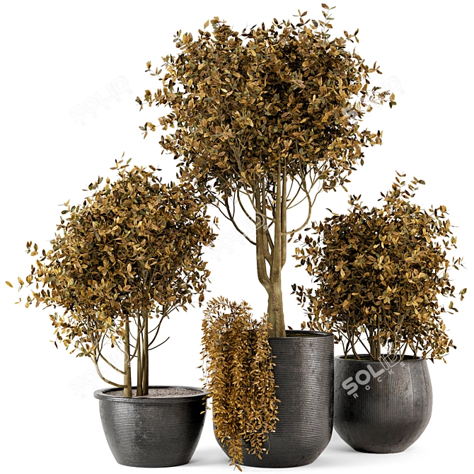 Rustic Outdoor Plant Bush & Tree Set 3D model image 1