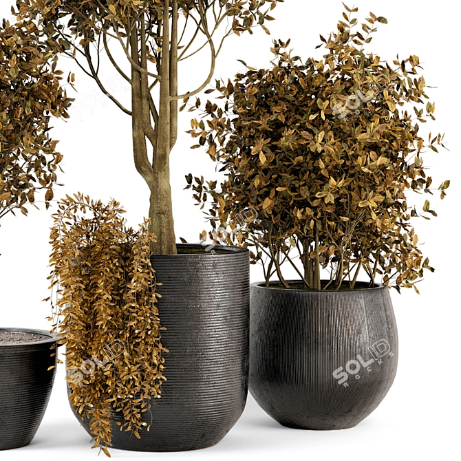Rustic Outdoor Plant Bush & Tree Set 3D model image 4