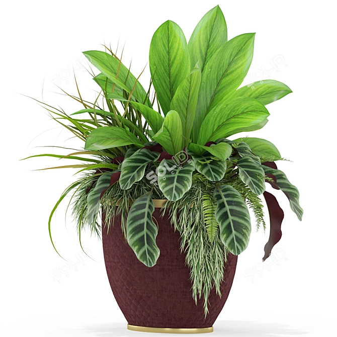 My Design Planters: Plants Collection 454 3D model image 4