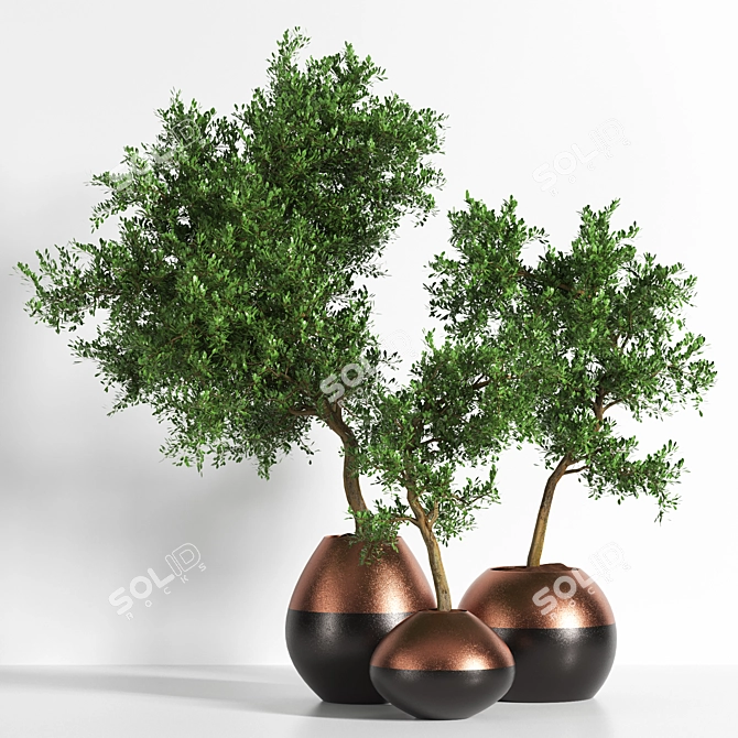 Versatile Outdoor Plant: 2015 Edition 3D model image 1