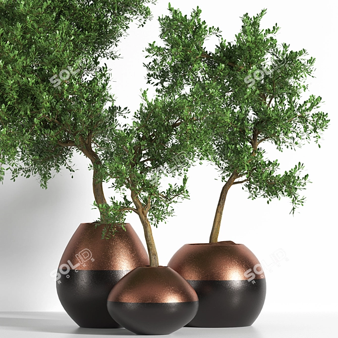 Versatile Outdoor Plant: 2015 Edition 3D model image 2