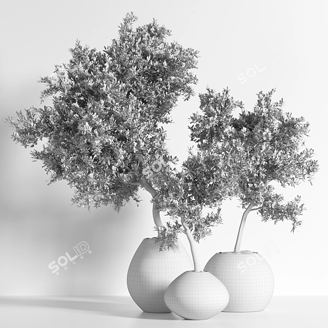 Versatile Outdoor Plant: 2015 Edition 3D model image 4