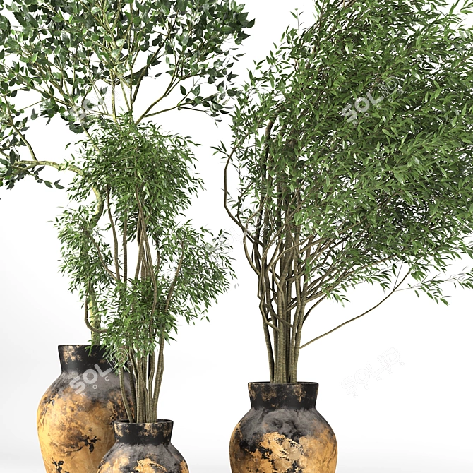 Premium Plant Collection 3D model image 3