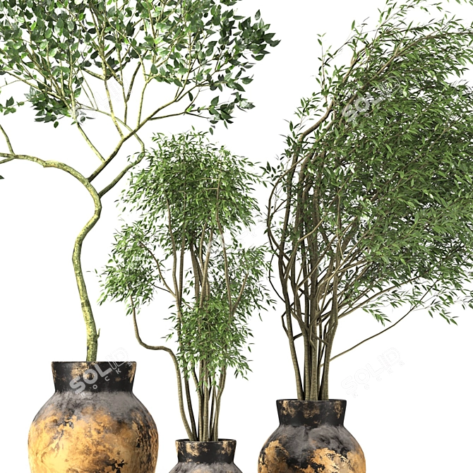 Premium Plant Collection 3D model image 4
