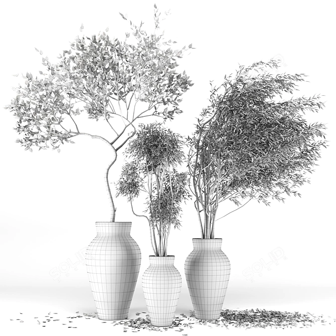 Premium Plant Collection 3D model image 5
