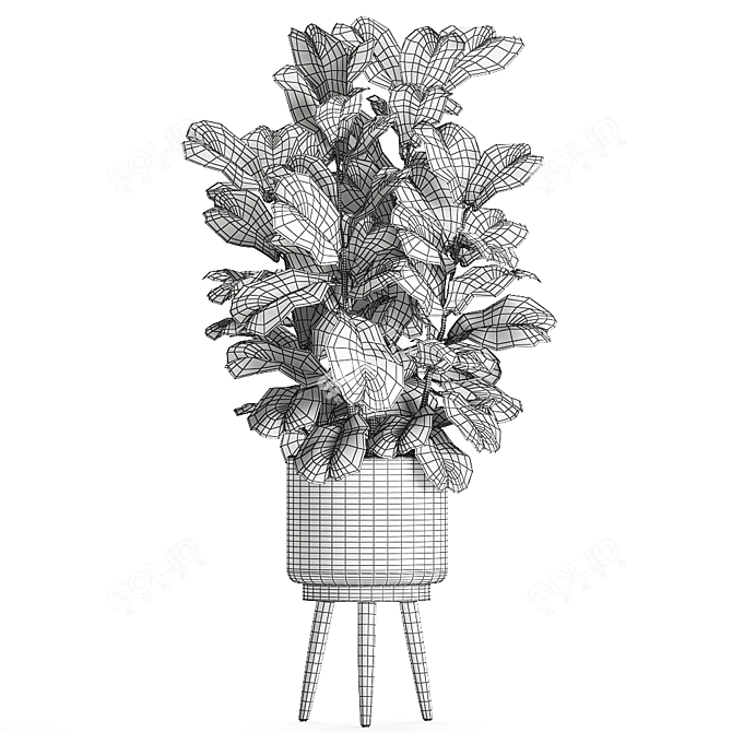 Tropical Plant Collection in Rattan Basket 3D model image 5