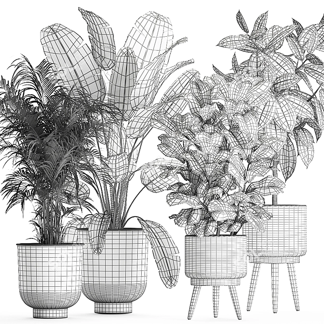 Tropical Plant Collection in Rattan Basket 3D model image 5