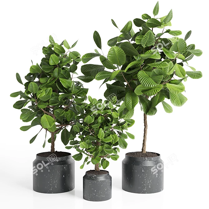 3D Indoor Plant Collection with Marble Vase 3D model image 1