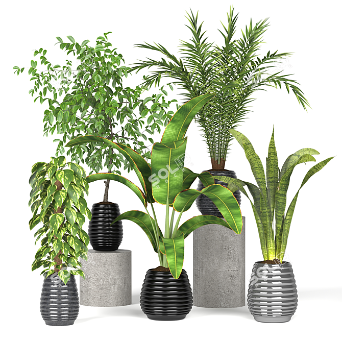 Green Oasis: Assorted Plant Collection 3D model image 2