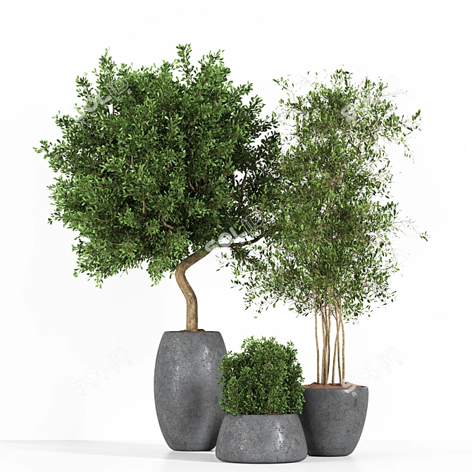 Outdoor Plant One: 2015-3D Max Model 3D model image 1