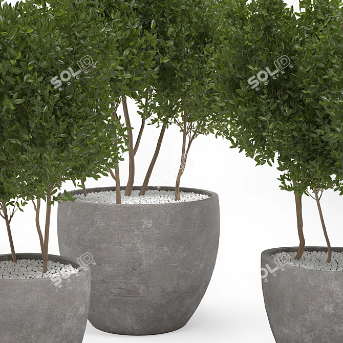 Concrete Pot Outdoor Tree 3D model image 2