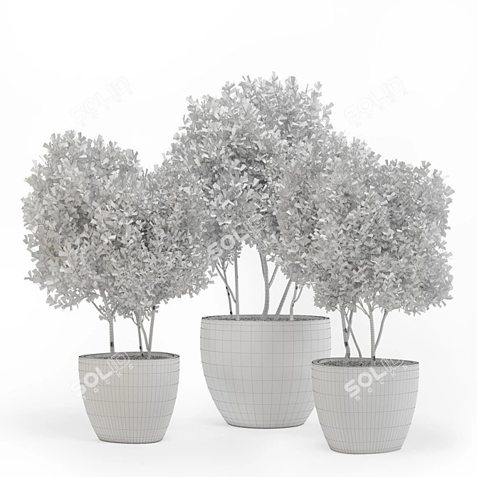 Concrete Pot Outdoor Tree 3D model image 3