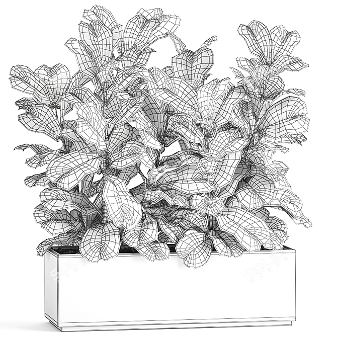 Exotic Plant Collection: Ficus Lyrata & More! 3D model image 5