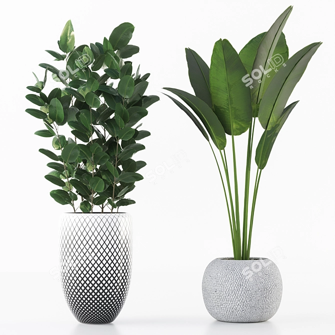 Indoor Plant Collection for Interior Design 3D model image 4