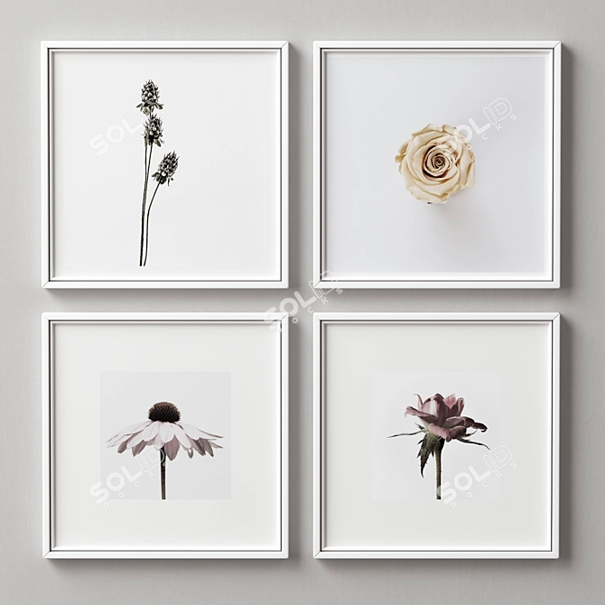 Multi-frame Picture Set - Elegant Frames in Various Colors & Sizes 3D model image 1