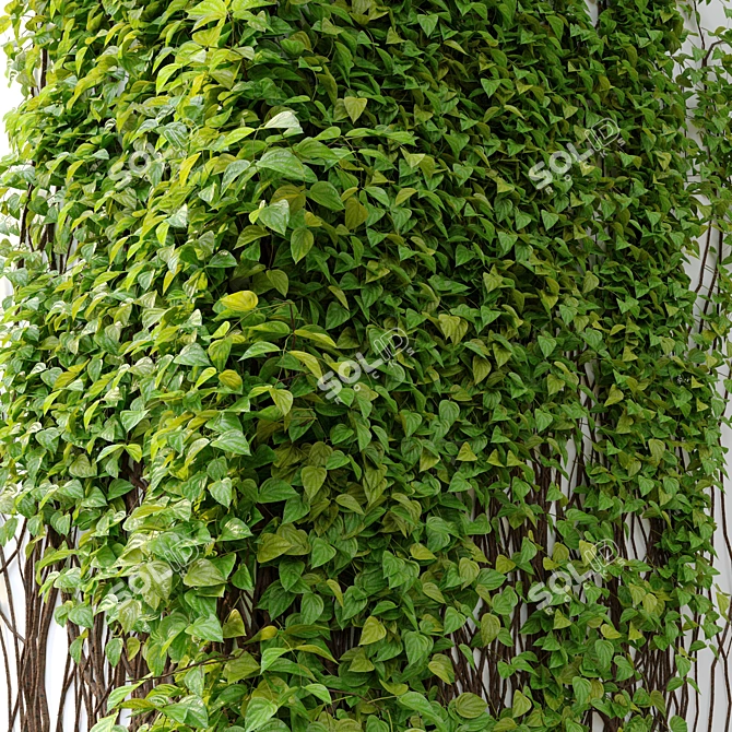 Elegant Vine Plant - 3m Height 3D model image 4