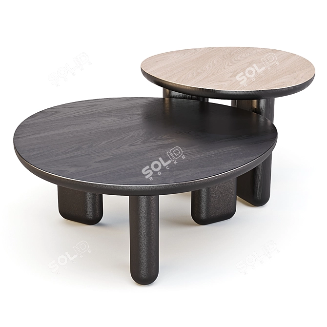 Liu Jo Caillou: Round Wood Coffee Tables 3D model image 2