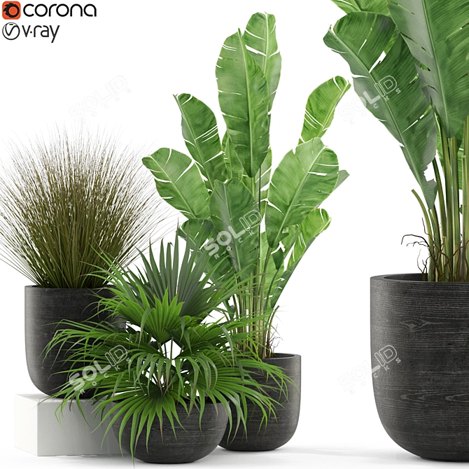 Botanical Bliss Plant Set 3D model image 1