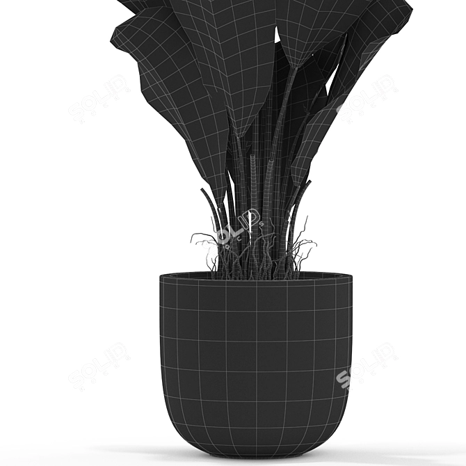 Botanical Bliss Plant Set 3D model image 5