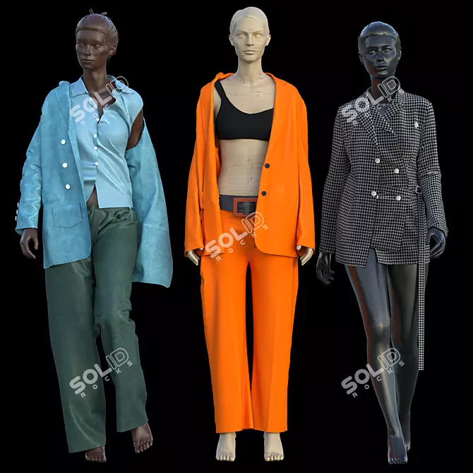 Premium Cloth Collection 2014 3D model image 1