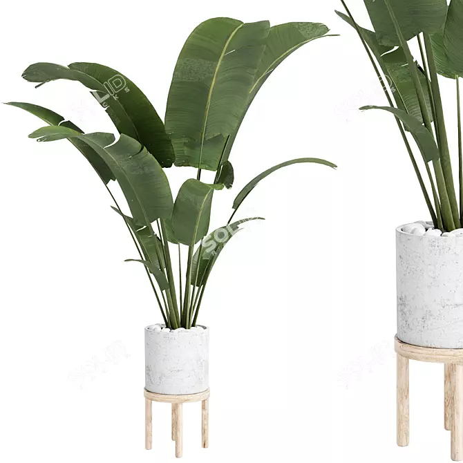 Concrete Pot Indoor Plant - 28 in 3D model image 1