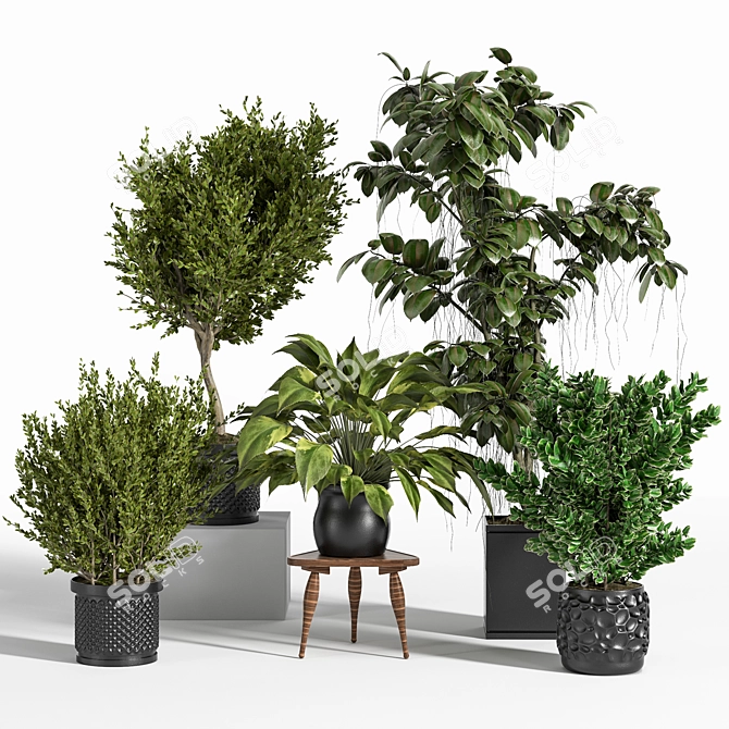 Ultimate Indoor Plant Set 3D model image 1