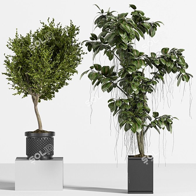 Ultimate Indoor Plant Set 3D model image 2