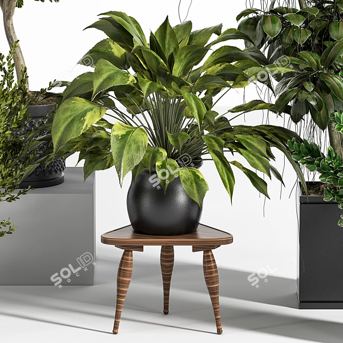 Ultimate Indoor Plant Set 3D model image 3