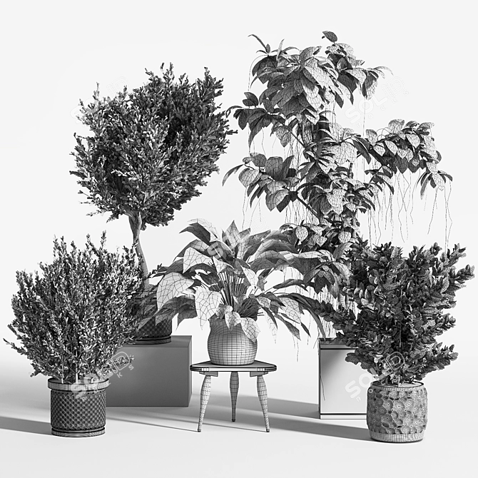 Ultimate Indoor Plant Set 3D model image 5