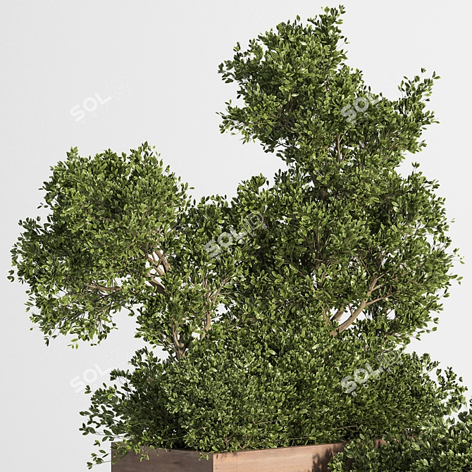 Outdoor Tree Plant Box Set: Versatile & Stylish 3D model image 2