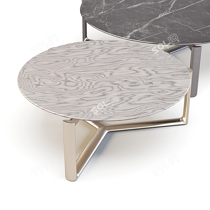 Casamilano Arne Marble Coffee & Side Tables 3D model image 3