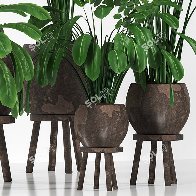 Greenery Concrete Planter Collection 3D model image 2