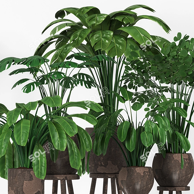 Greenery Concrete Planter Collection 3D model image 4