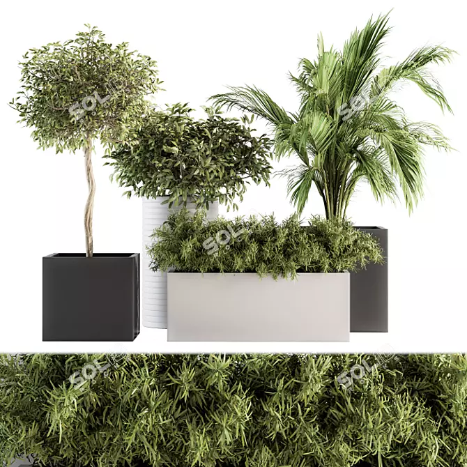 Green Oasis: Indoor Plant Set 188 3D model image 1