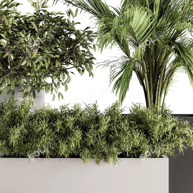 Green Oasis: Indoor Plant Set 188 3D model image 3