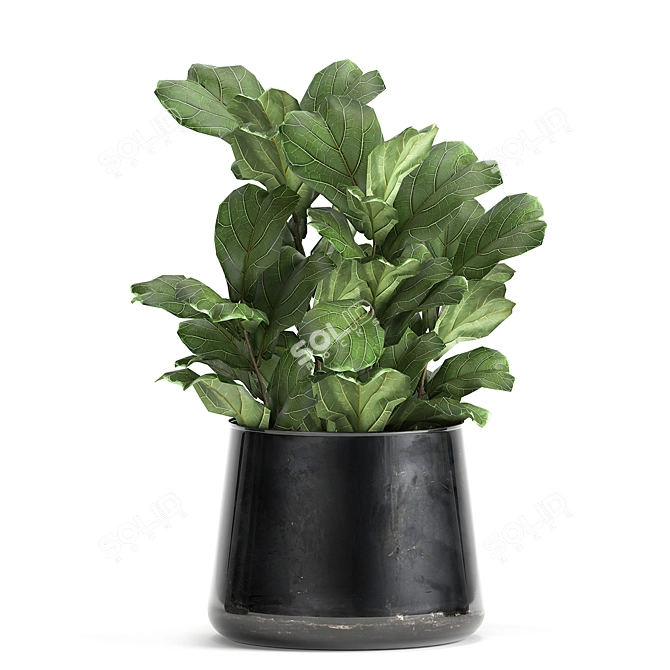 Green Oasis: Exotic Plants in Reclaimed Iron Pot 3D model image 2