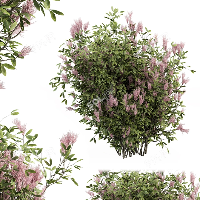 Vibrant Violet - 16-Piece Bush Set 3D model image 1