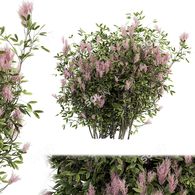 Vibrant Violet - 16-Piece Bush Set 3D model image 2
