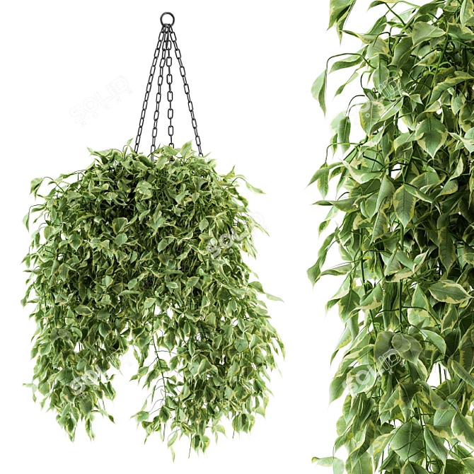 Green Haven: Indoor Hanging Plant Set 3D model image 1