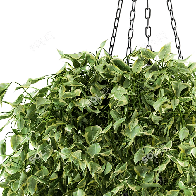 Green Haven: Indoor Hanging Plant Set 3D model image 2